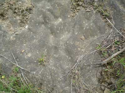 ripple_marks